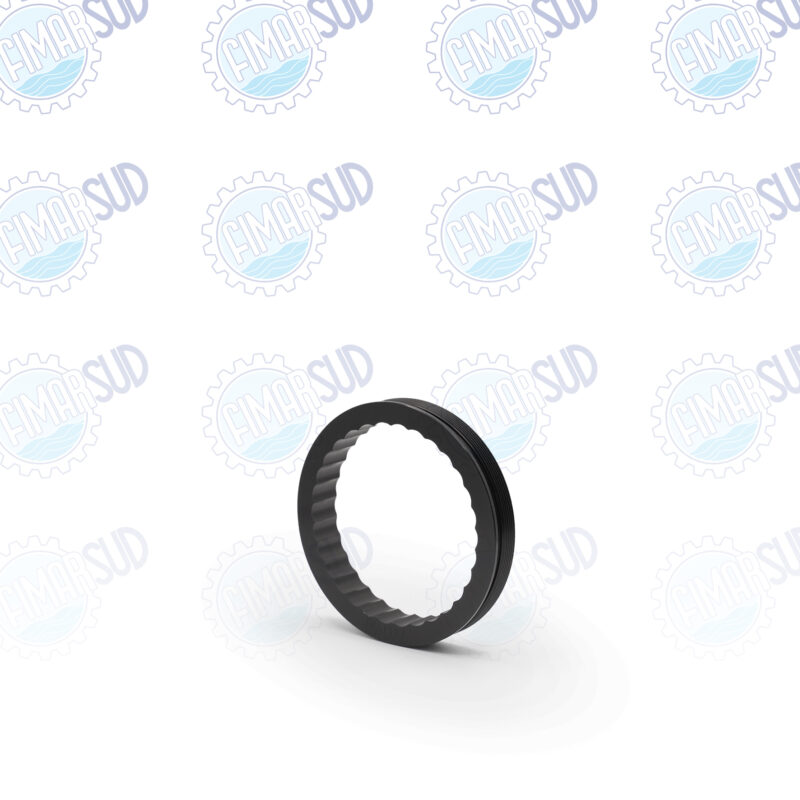 ANELLO REGGISPINTA