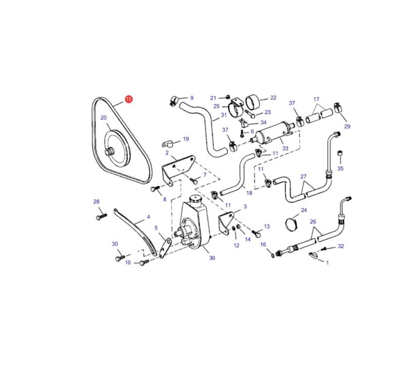 3858462 - CINGHIA A V - immagine 1