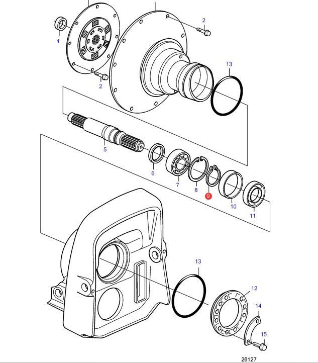 ANELLO CONTENITORE